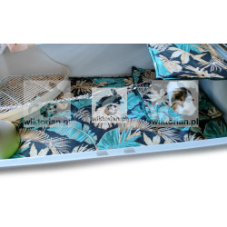 Wodoodporna mata dla świnki morskiej VELVET MONSTERY KWIATY NIEBIESKIE
