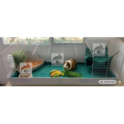 Podwójny HAMAK Z NORKĄ DLA ŚWINEK MORSKICH, hamak plaster miodu MINKY BUTELKOWA ZIELEŃ